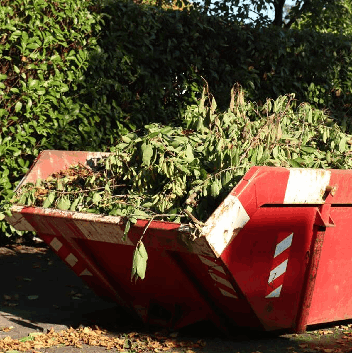 Premier Holborn Skip Hire | Skips in London